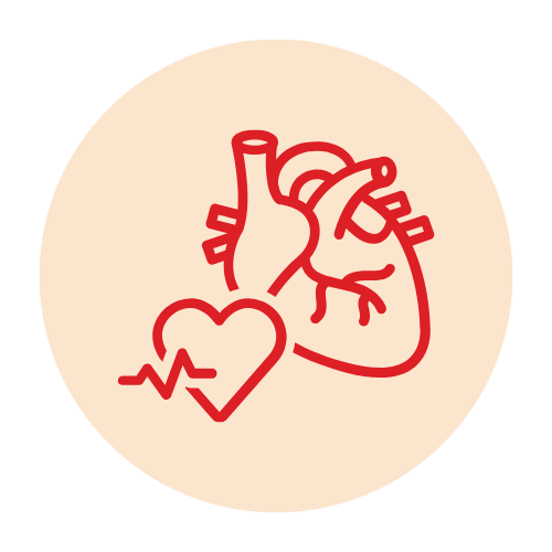 Cardiology