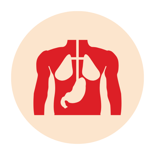 Internal Medicine
